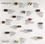 Una colección de bombones donde el chocolate revela la frescura, la acidez y el perfume de distintas frutas. Elaboración artesanal PUROCACAO.