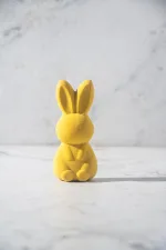 Conejo Velvet Amarillo - TEGUI × PUROCACAO