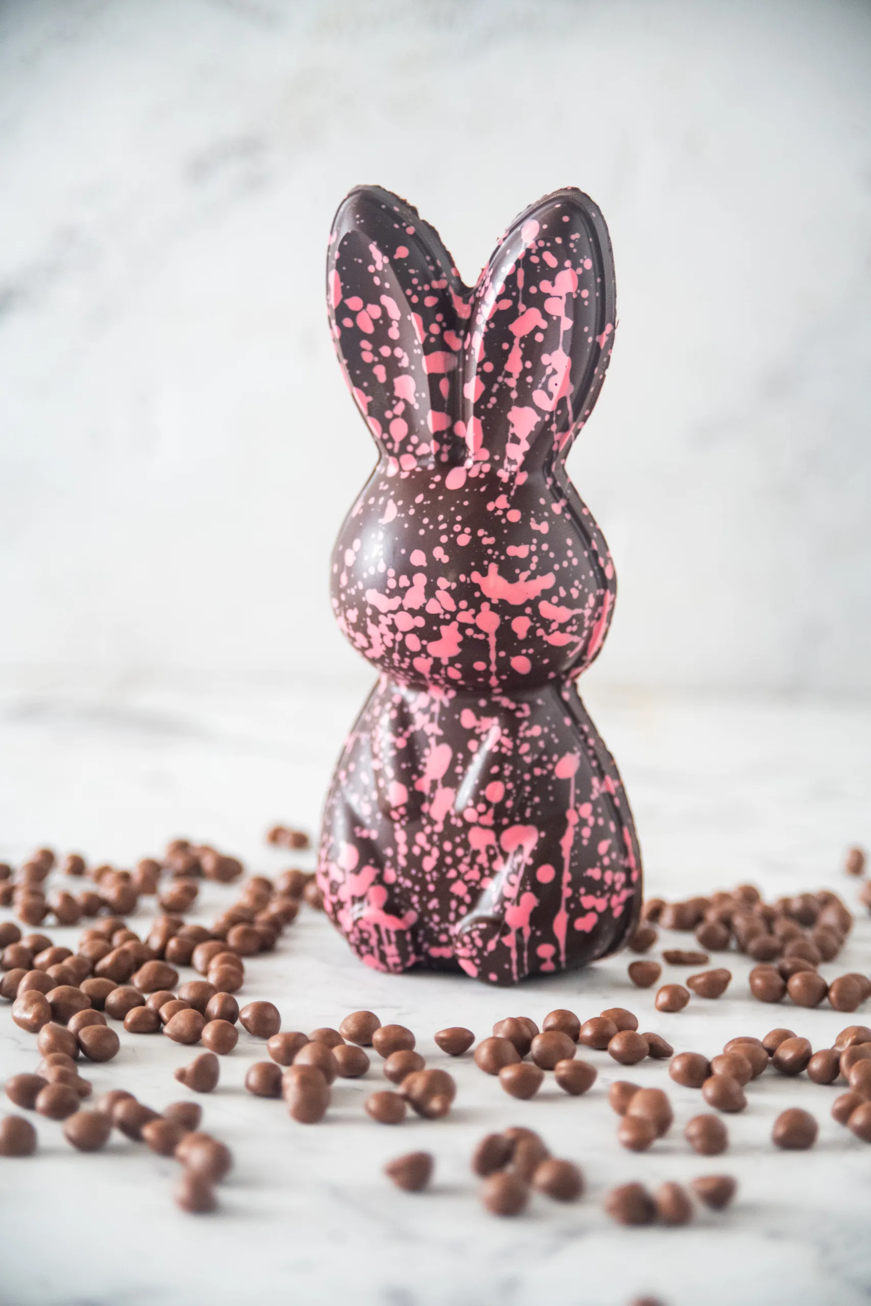 03_22_TEGUI-Puro Cacao-3357 Conejo Pintas — Rosa TEGUI × PUROCACAO - Imagen 1